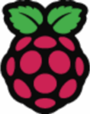 Raspberry Pi logo